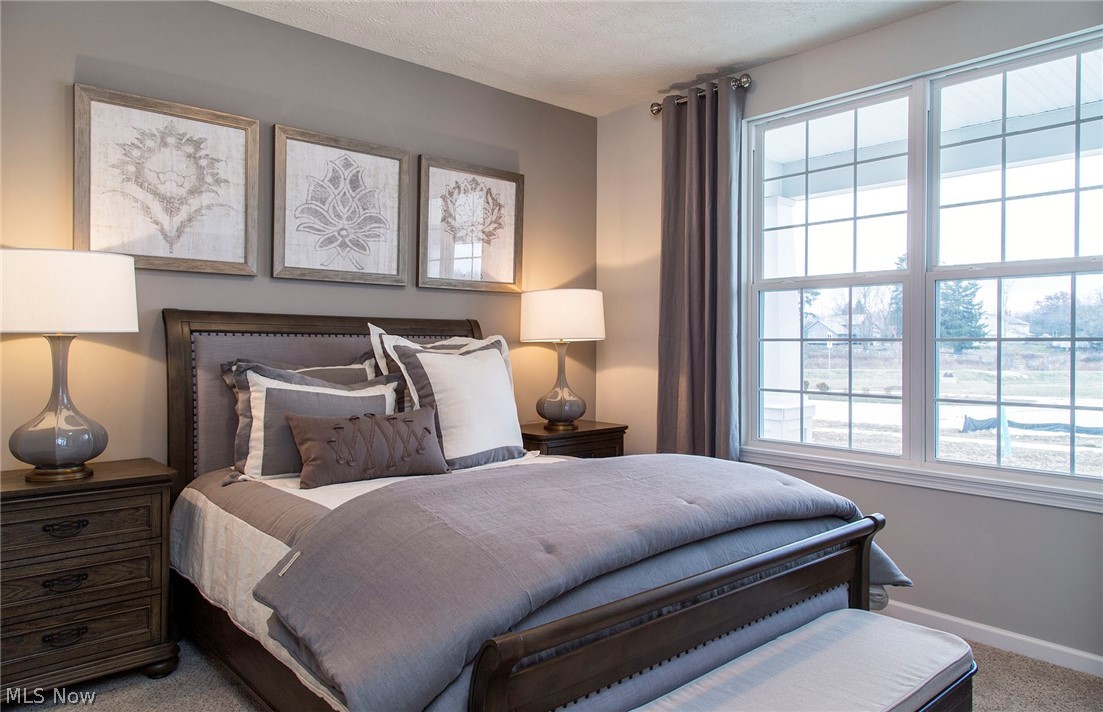 Forest Creek - Residential