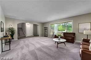 Beverly Hills Estates 01 - Residential