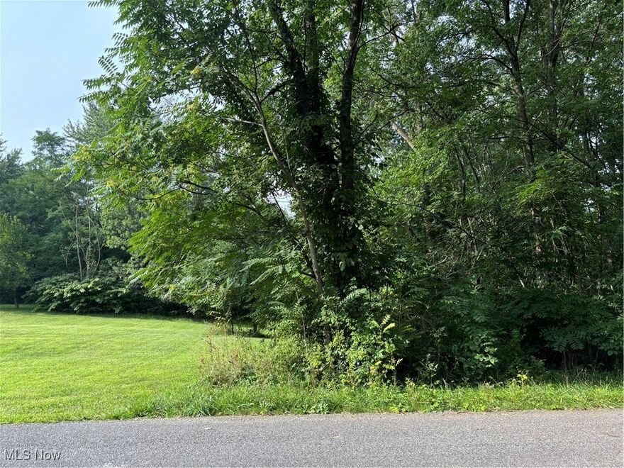 Buildable 0.72 acre lot in Springfield Township. Situated in a quiet neighborhood and located near highways and shopping. This heavily wooded lot will require well and septic and is partially split by Coleman Ave. Buyer to verify intended use with all municipalities