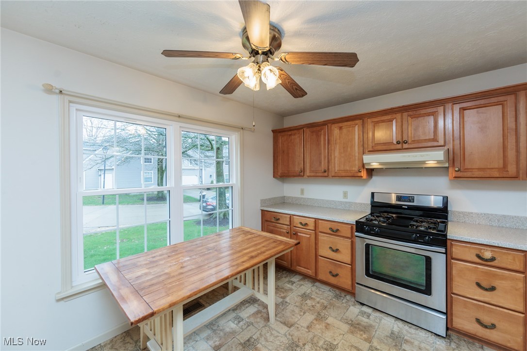 14542 Cross Creek Lane, North Royalton, Ohio image 20