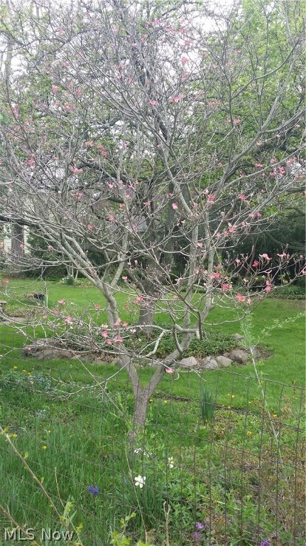 Village/Smithville - Residential