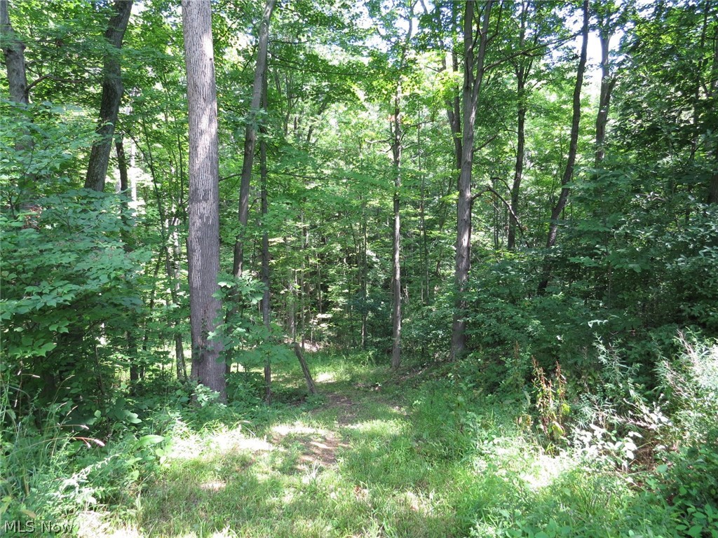 Hinckley - Residential