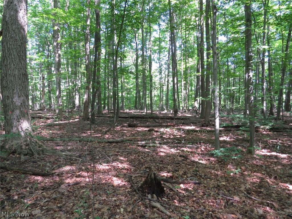 Hinckley - Residential