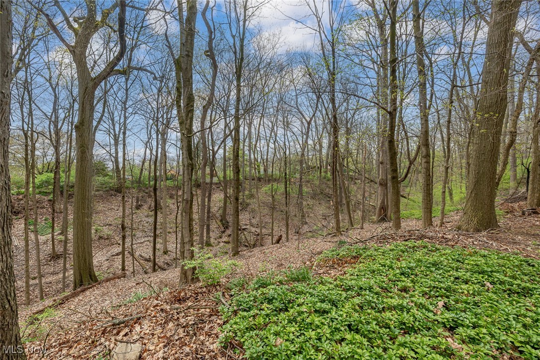 8282 Montello Road, Independence, Ohio image 27