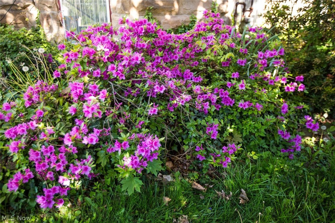 Thompson & Webster - Residential