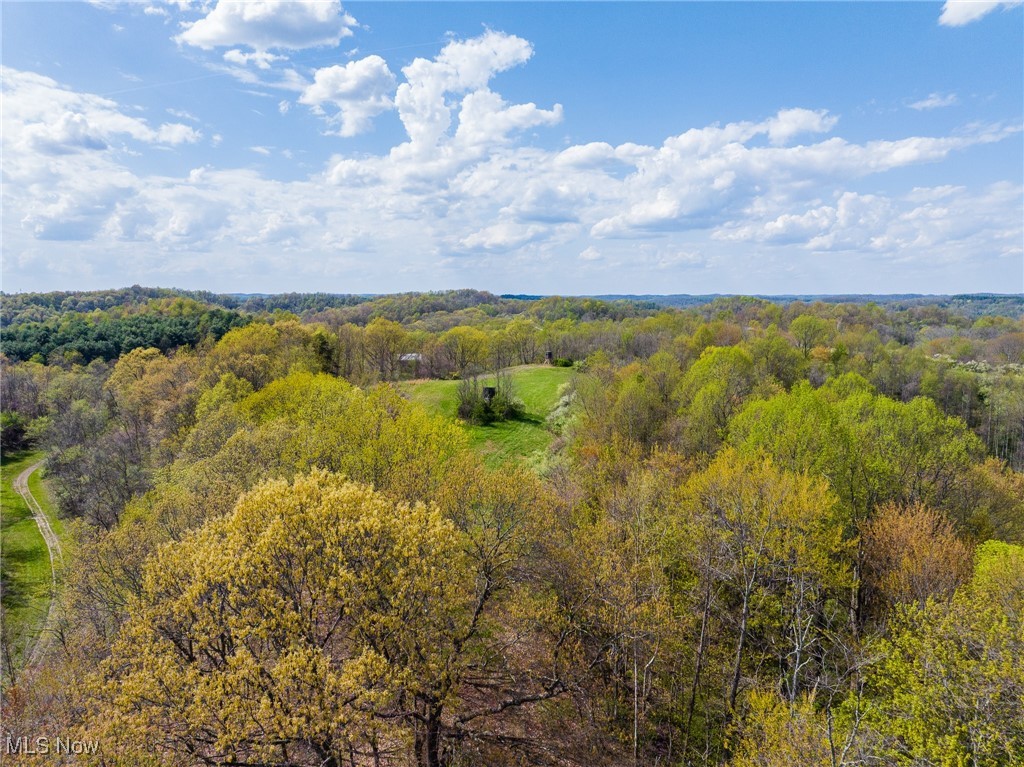 Harrons Ridge Road, Dexter City, Ohio image 42