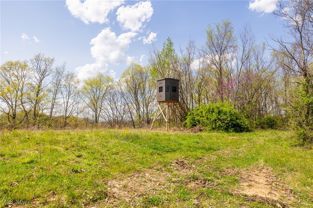 Harrons Ridge Road, Dexter City, Ohio image 19