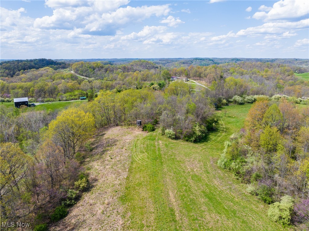Harrons Ridge Road, Dexter City, Ohio image 36