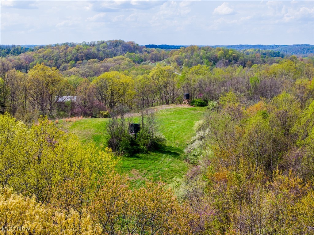 Harrons Ridge Road, Dexter City, Ohio image 25