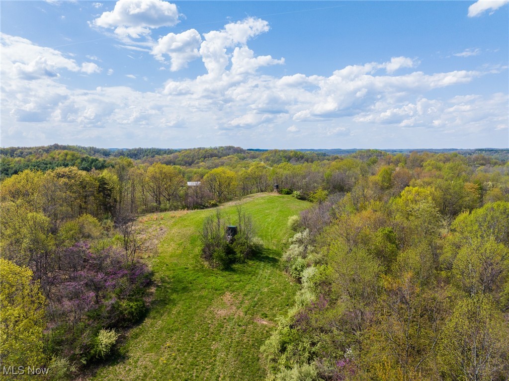 Harrons Ridge Road, Dexter City, Ohio image 16