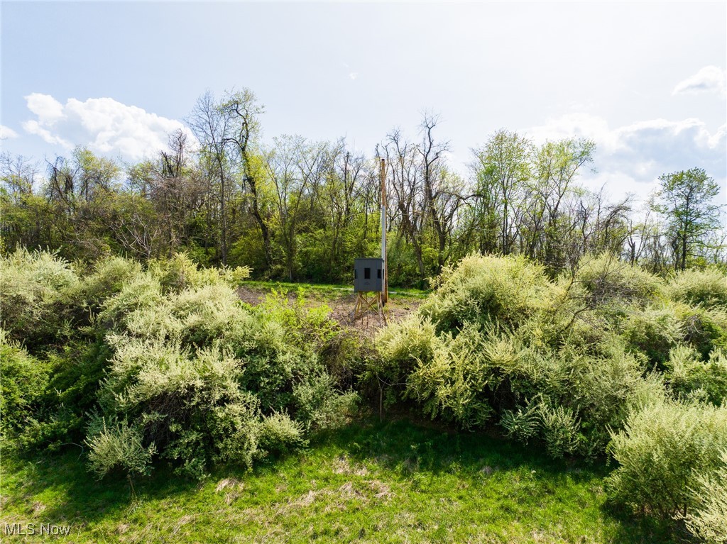 Harrons Ridge Road, Dexter City, Ohio image 30
