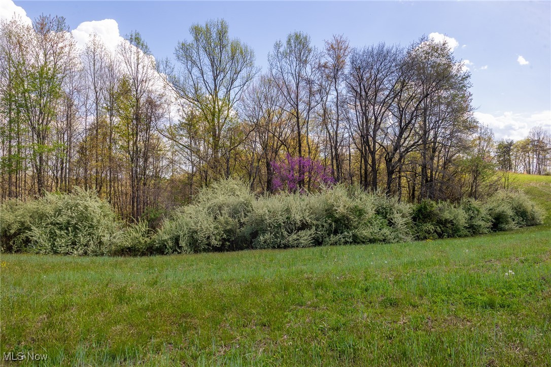 Harrons Ridge Road, Dexter City, Ohio image 20
