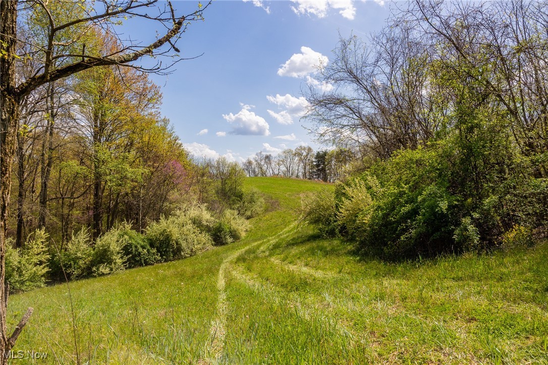 Harrons Ridge Road, Dexter City, Ohio image 13