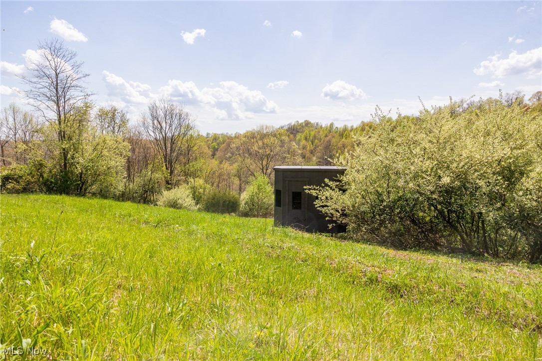 Harrons Ridge Road, Dexter City, Ohio image 8