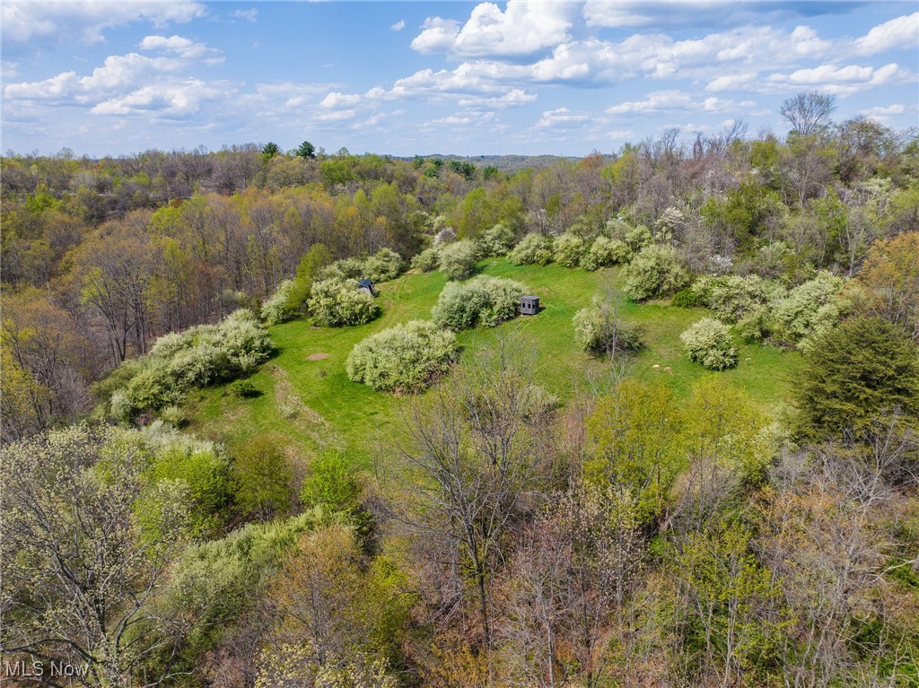 Harrons Ridge Road, Dexter City, Ohio image 37