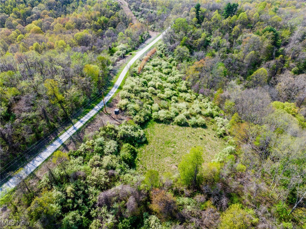 Harrons Ridge Road, Dexter City, Ohio image 29
