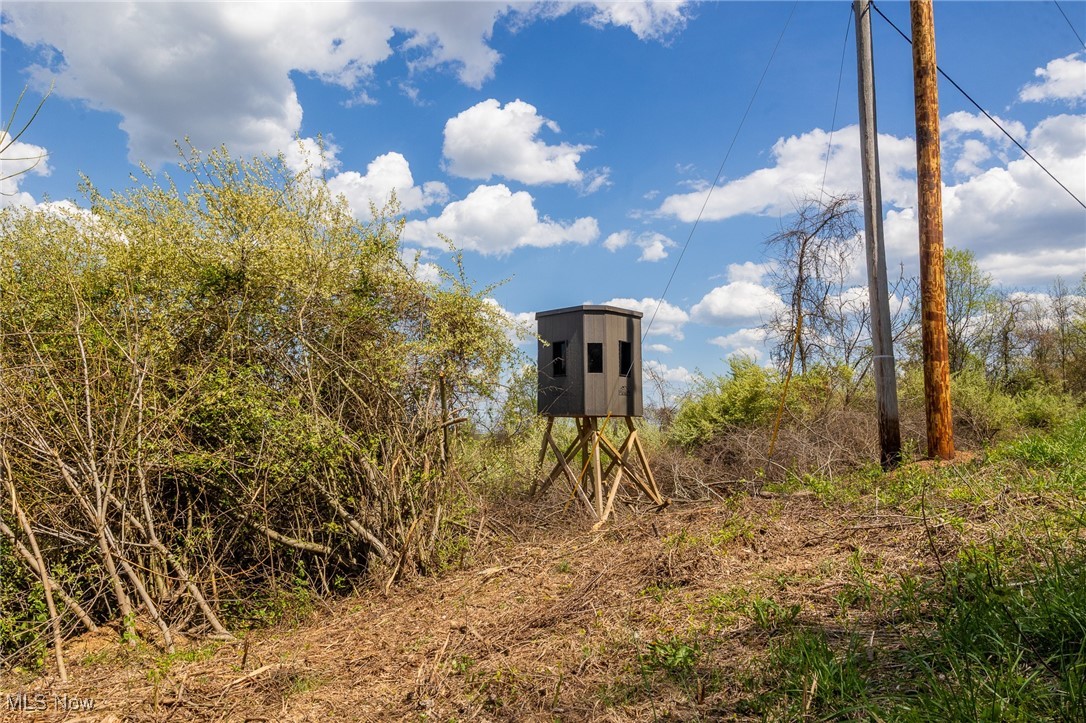 Harrons Ridge Road, Dexter City, Ohio image 31