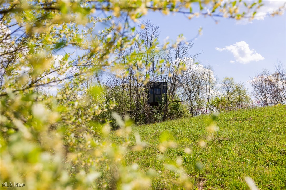 Harrons Ridge Road, Dexter City, Ohio image 22