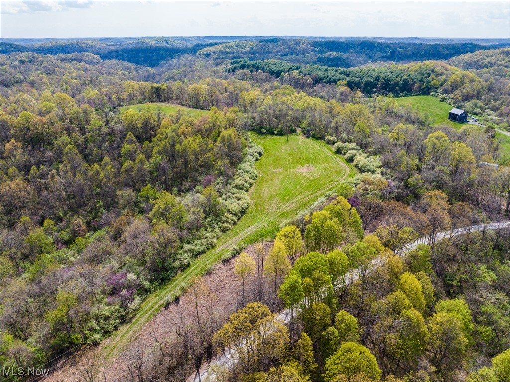 Harrons Ridge Road, Dexter City, Ohio image 14