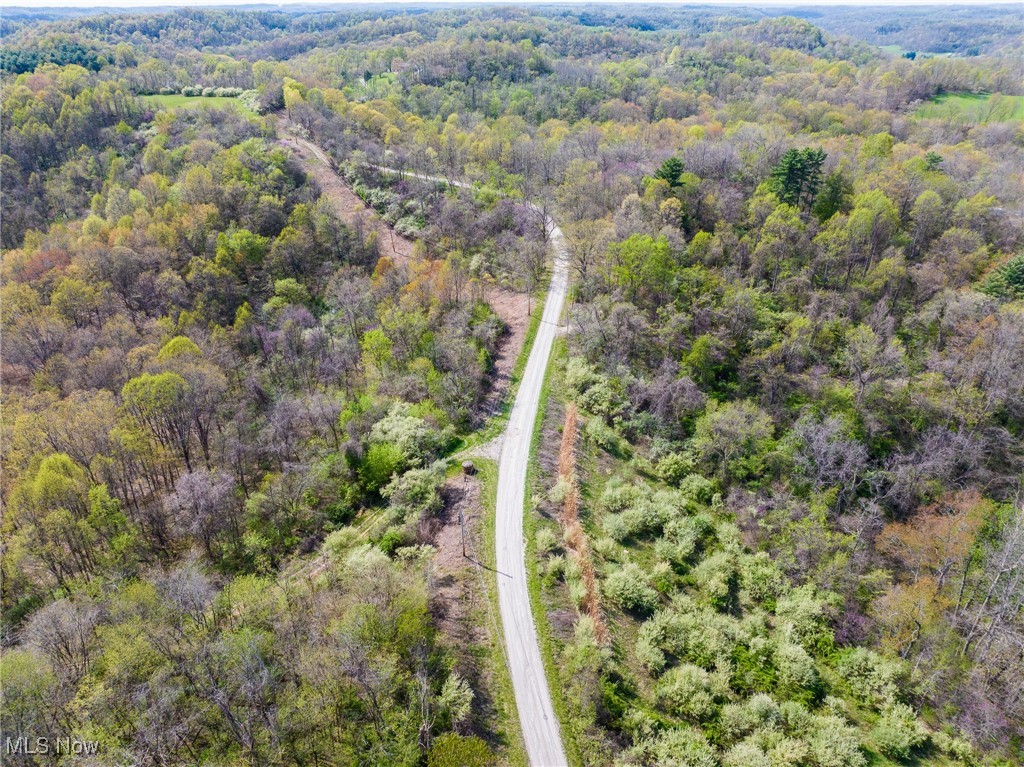 Harrons Ridge Road, Dexter City, Ohio image 34