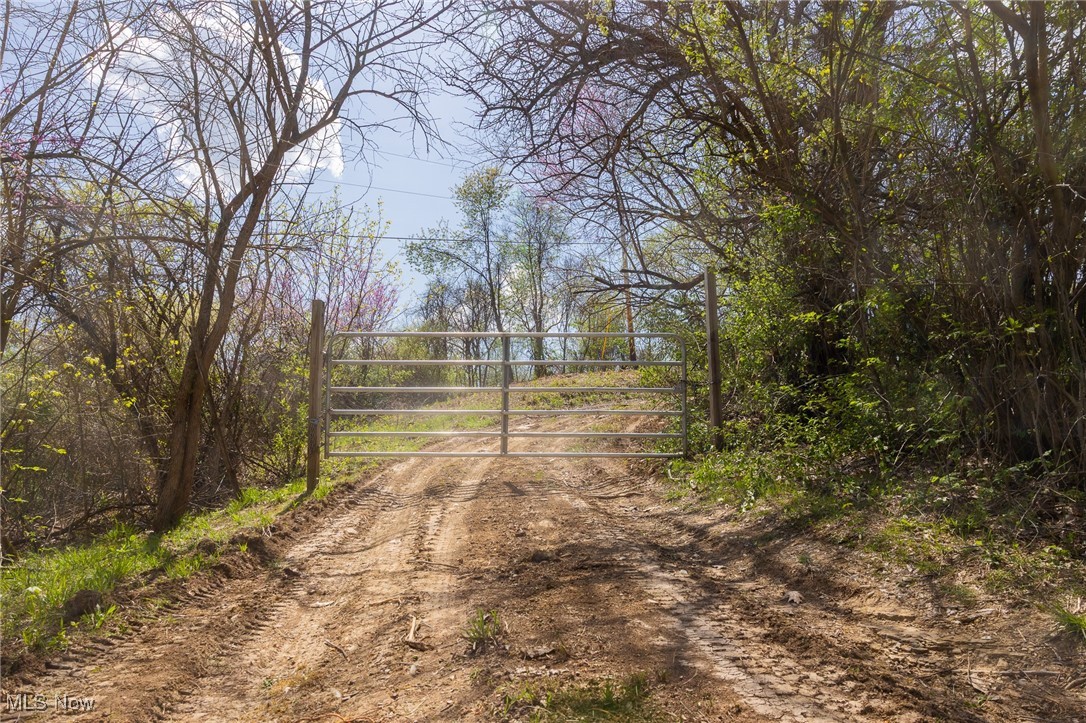 Harrons Ridge Road, Dexter City, Ohio image 11