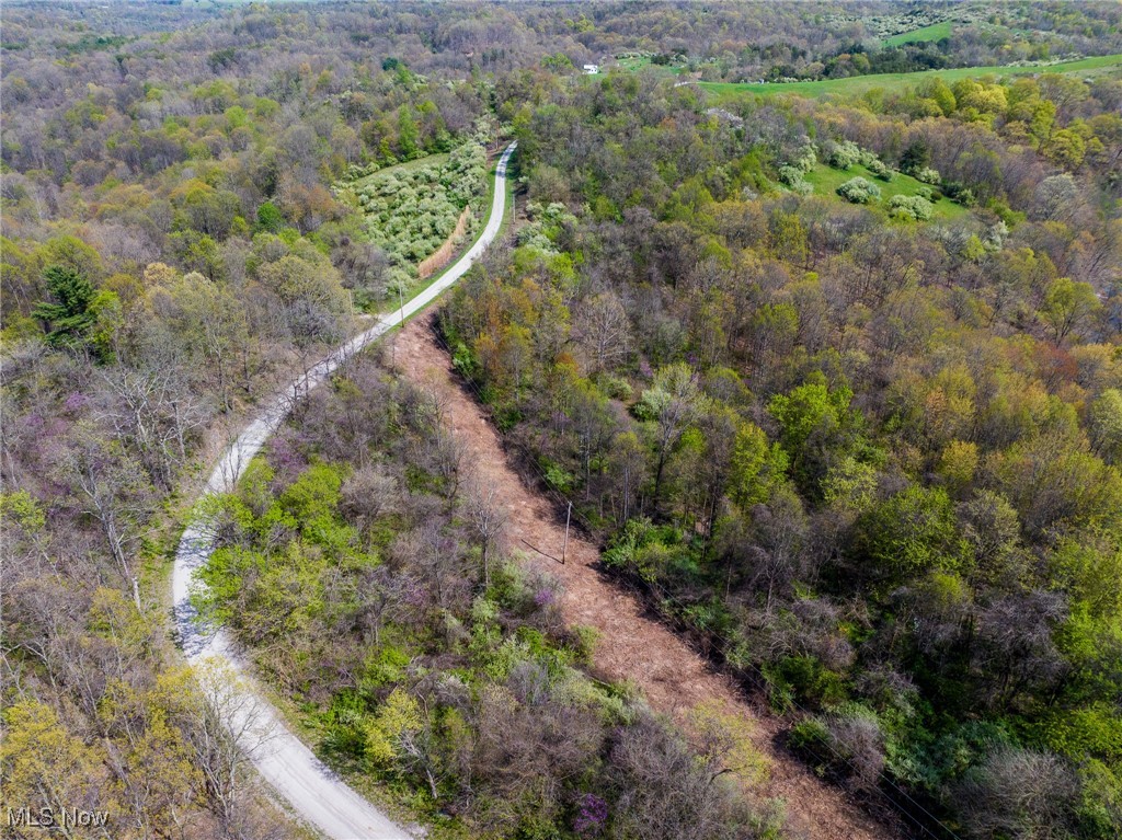 Harrons Ridge Road, Dexter City, Ohio image 43
