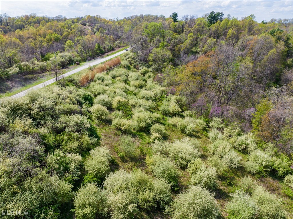 Harrons Ridge Road, Dexter City, Ohio image 33