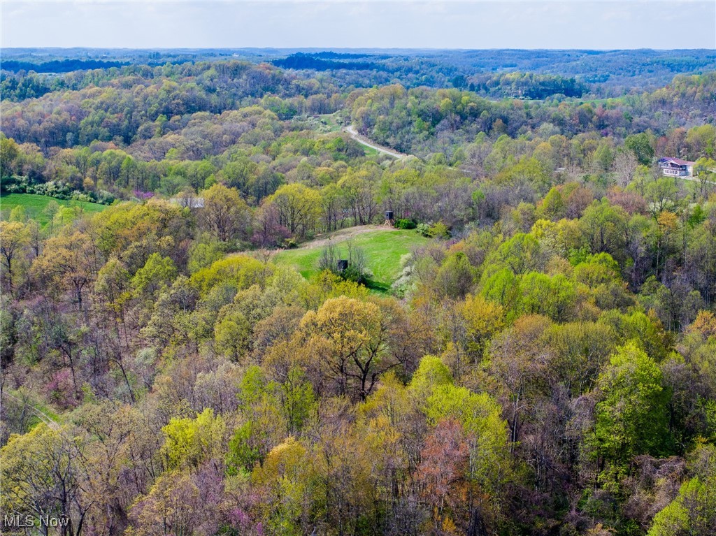 Harrons Ridge Road, Dexter City, Ohio image 41