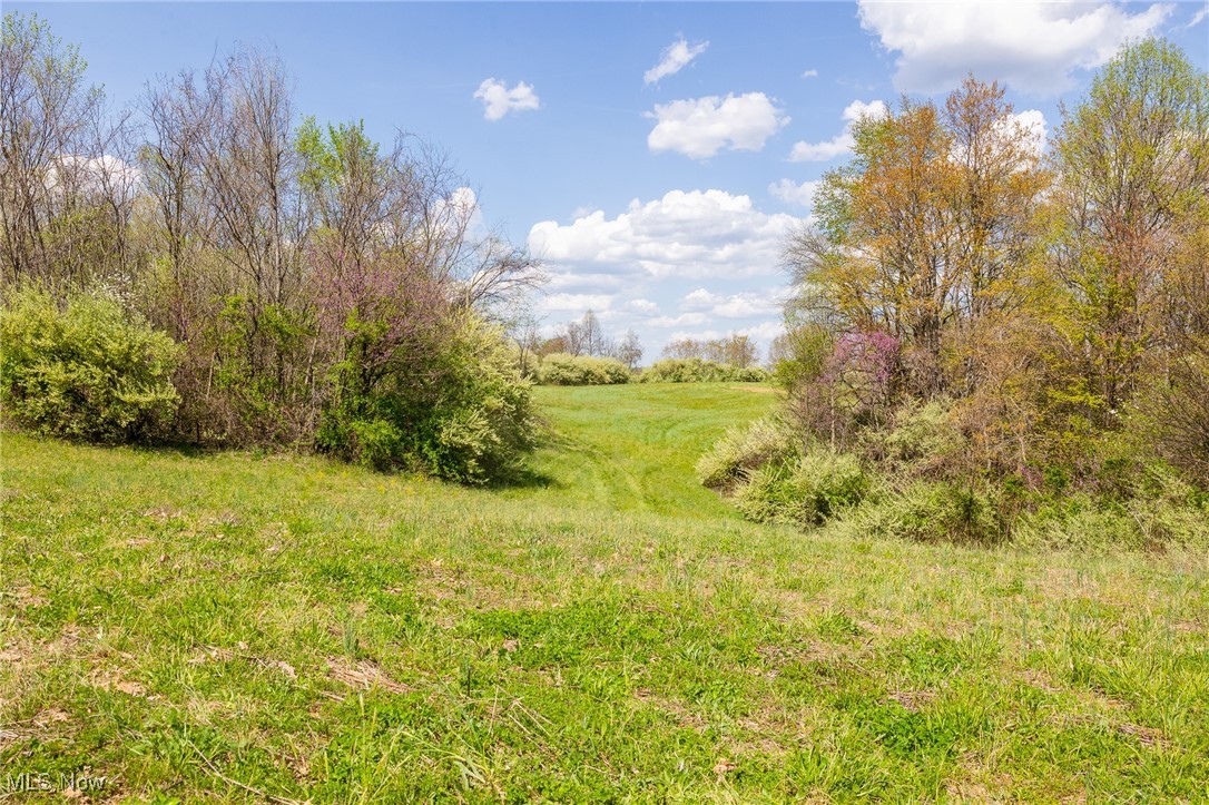 Harrons Ridge Road, Dexter City, Ohio image 27