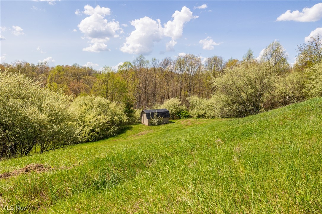 Harrons Ridge Road, Dexter City, Ohio image 3