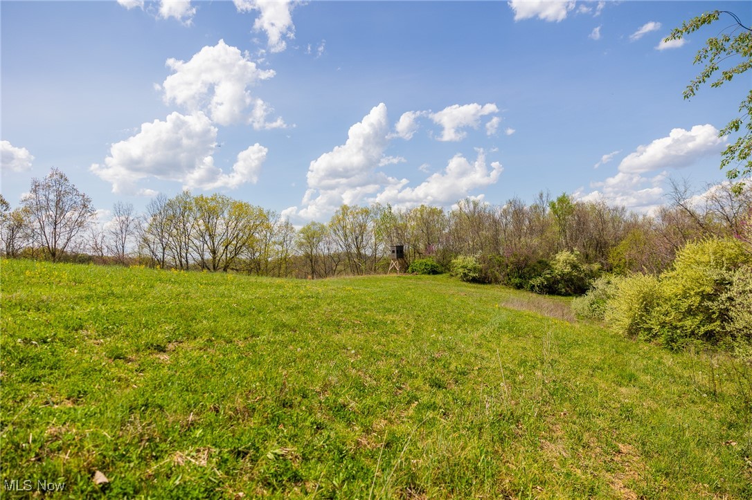 Harrons Ridge Road, Dexter City, Ohio image 18