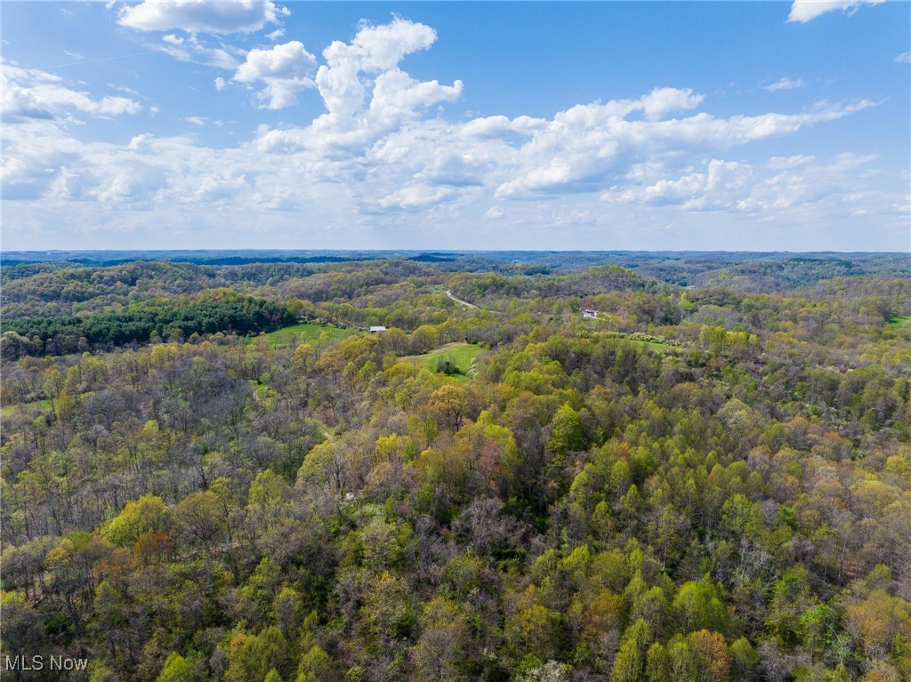 Harrons Ridge Road, Dexter City, Ohio image 40