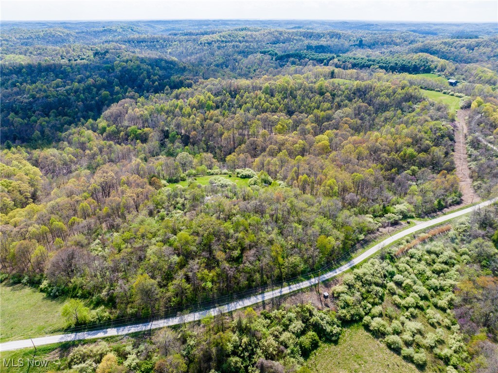 Harrons Ridge Road, Dexter City, Ohio image 9