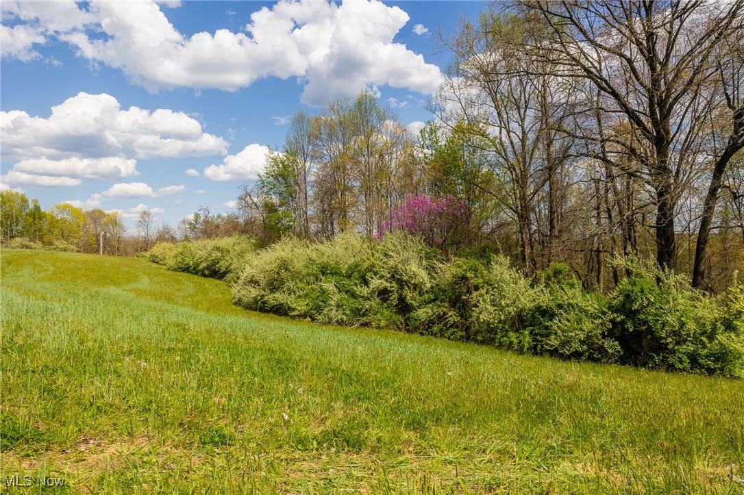 Harrons Ridge Road, Dexter City, Ohio image 26