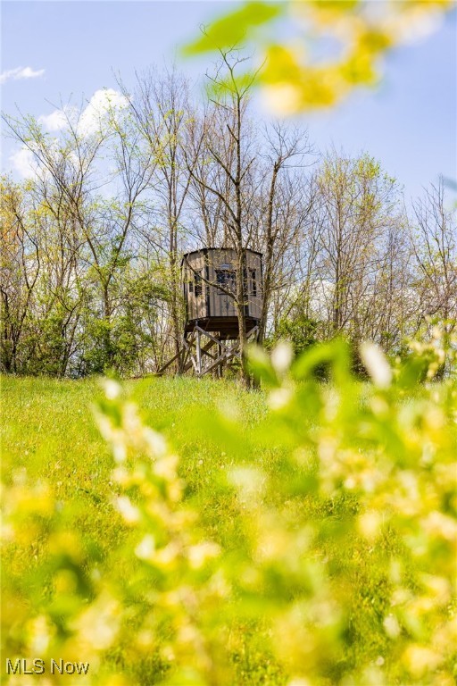Harrons Ridge Road, Dexter City, Ohio image 10