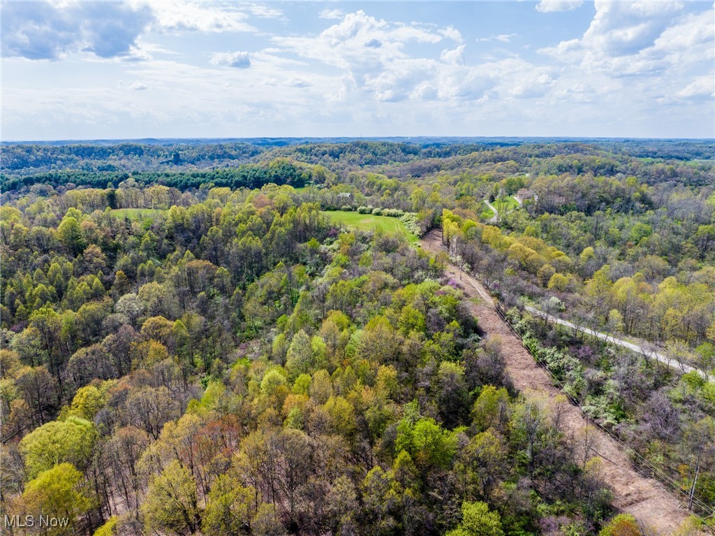 Harrons Ridge Road, Dexter City, Ohio image 35