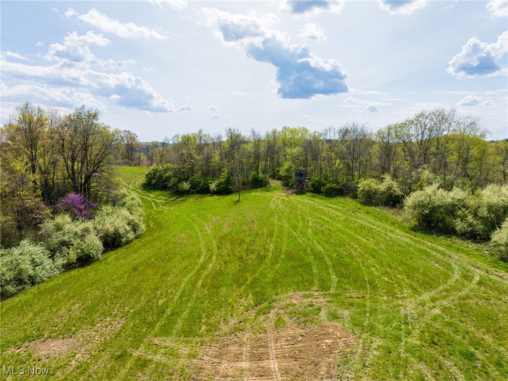 Harrons Ridge Road, Dexter City, Ohio image 17