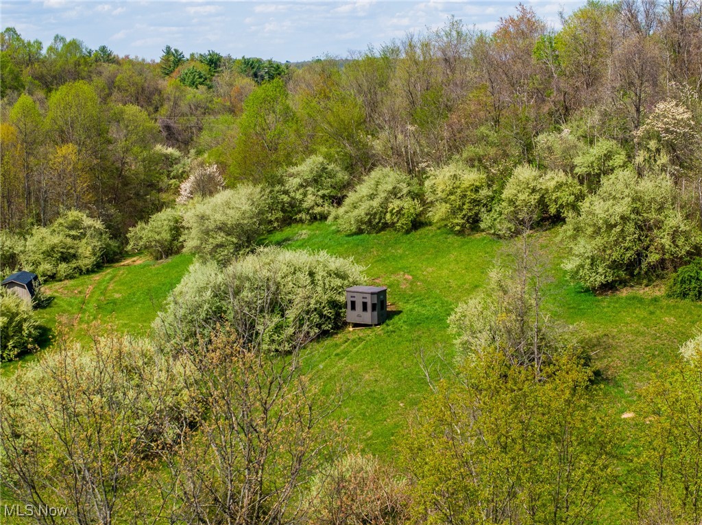 Harrons Ridge Road, Dexter City, Ohio image 5