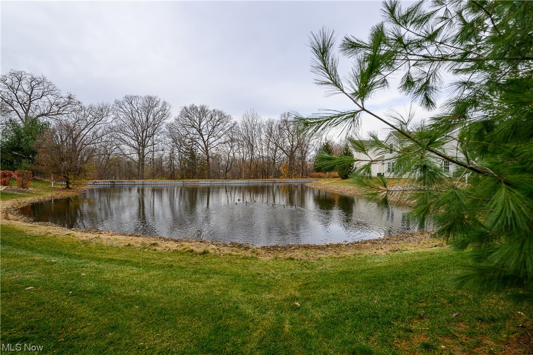 Brighton Bay 02 Rep/Newport Lane - Residential