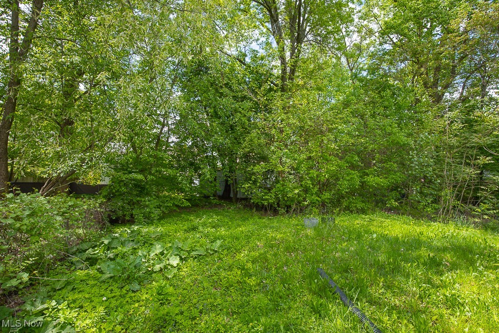 Storer Land Co Allotment - Residential