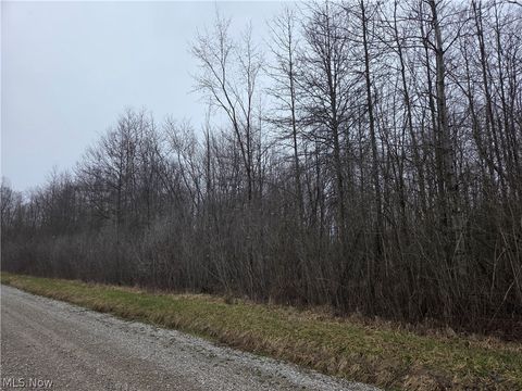 Vacant Land For Sale - Plank Road<br/> Ashtabula County, Orwell, OH 44076