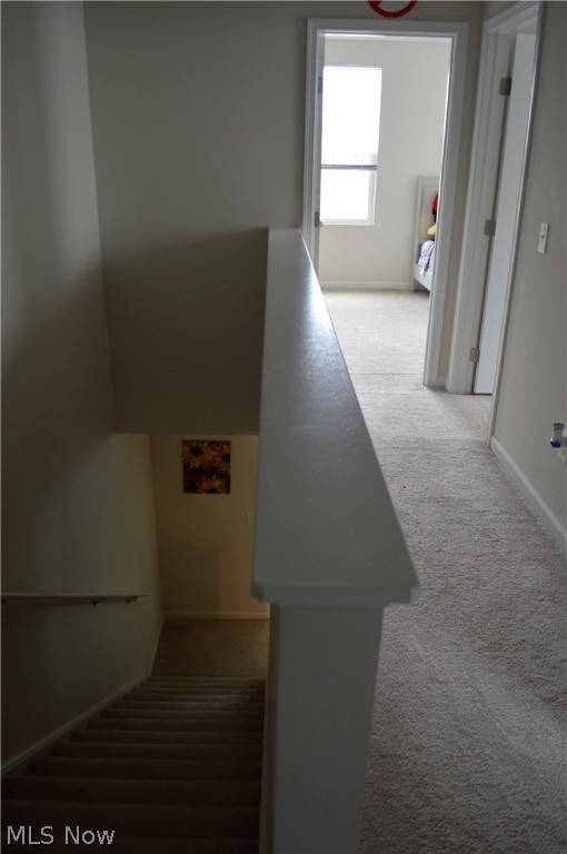 Westfield Terrace Rep #1 - Residential