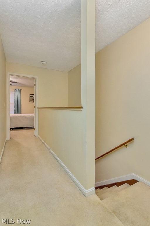 Bretton North Condo - Residential