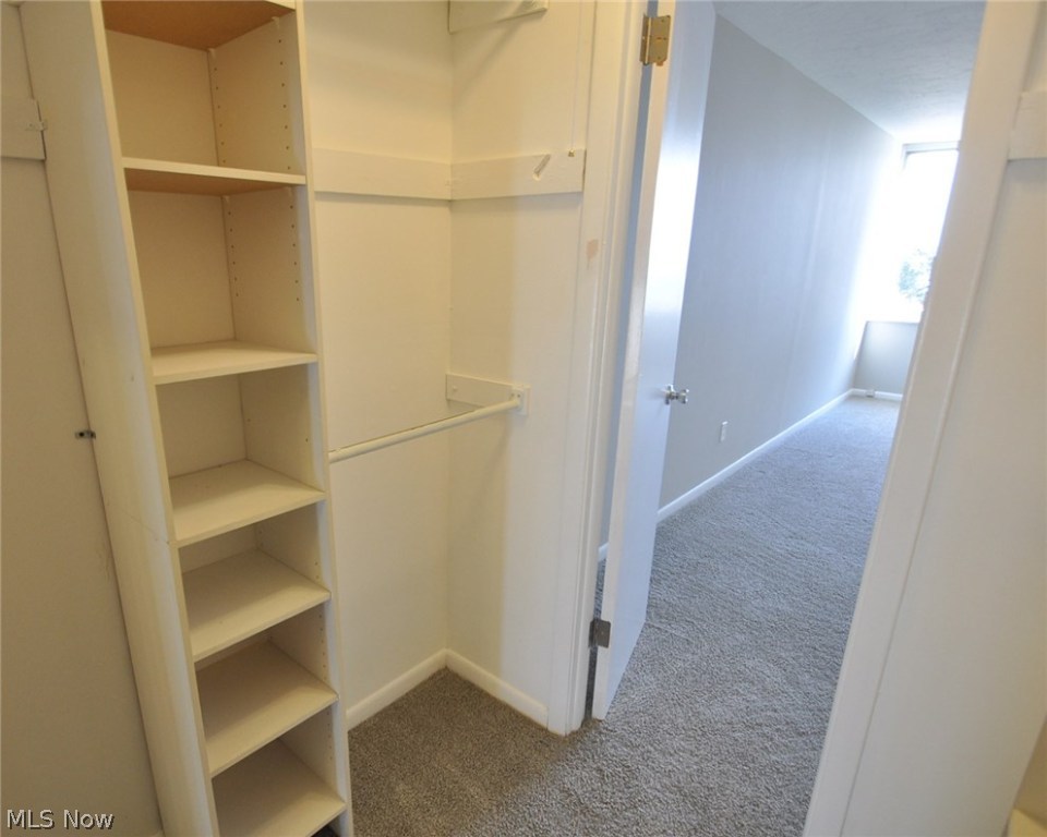 The Carlyle - Residential