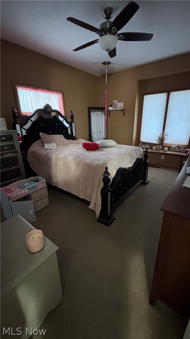 Scotch Pine Way - Residential