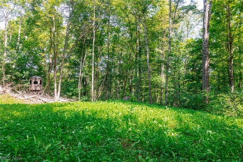 Vacant Land For Sale - Richards Rd. Road<br/> Cambridge, OH 43725