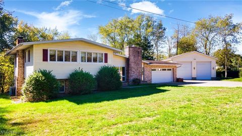 101 GLOVER Lane Toronto OH 43964