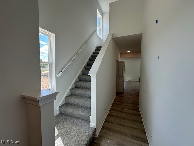 Summit at Forest Lakes - Residential