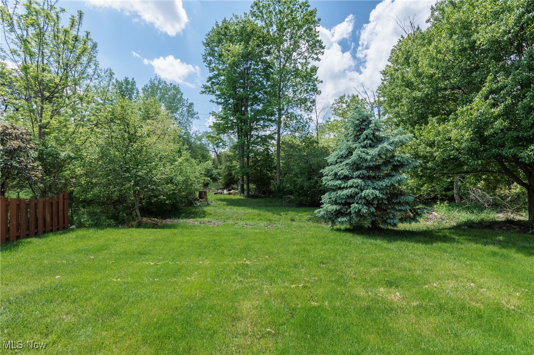 4928 Treeline Drive, Brunswick, Ohio image 49