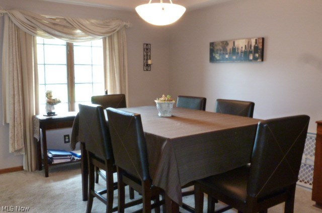 Auburn Hills - Residential